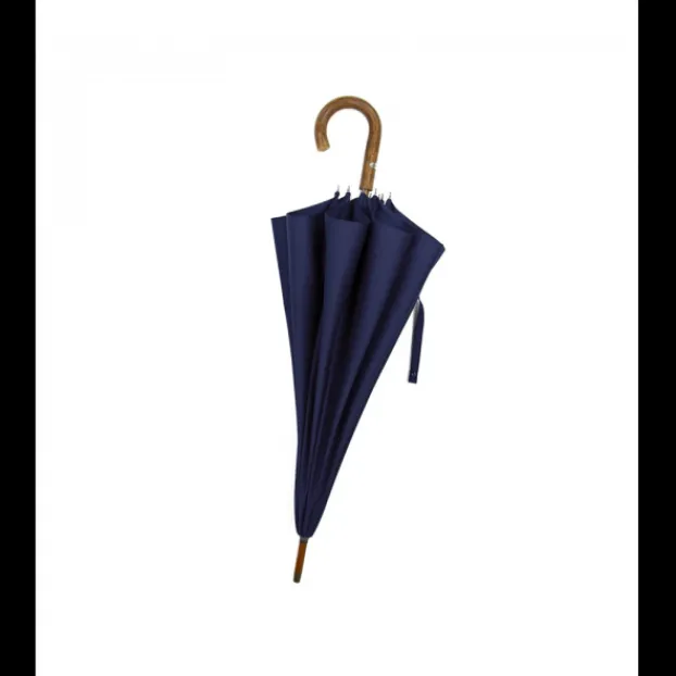 Online Parapluie Canne Le Berger Parapluies