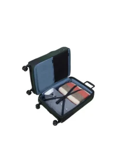 Cheap - biz2go - Valise Spinner 66cm Valises